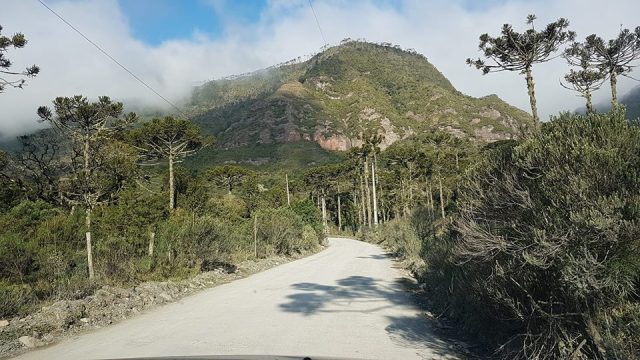 37974629_1717133278402514_8026089451430084608_n