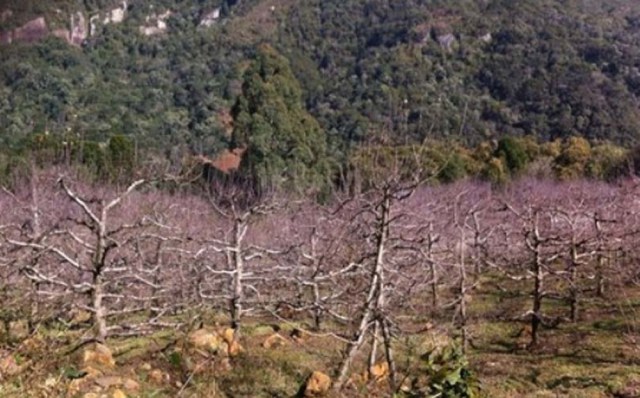 38005594_1717097608406081_4404959815017693186_n