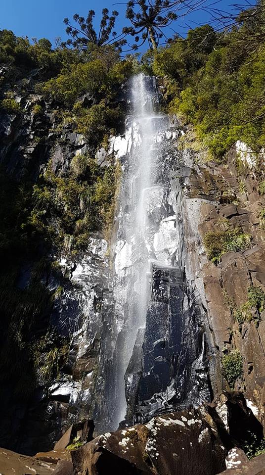 38032792_1718745094907999_7277927357015392256_n