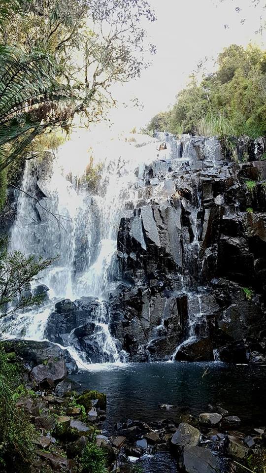 38072068_1718831711566004_5420592221856464896_n