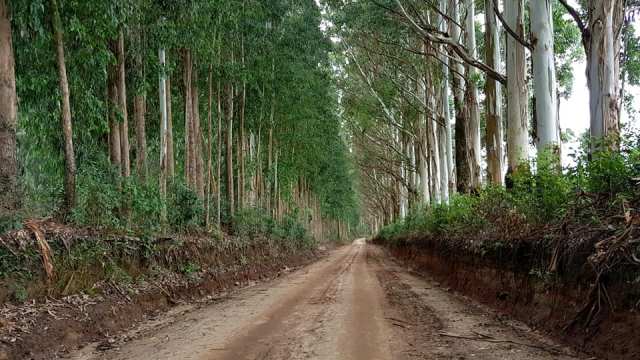 50863674_1967393680043138_1261607717911396352_n