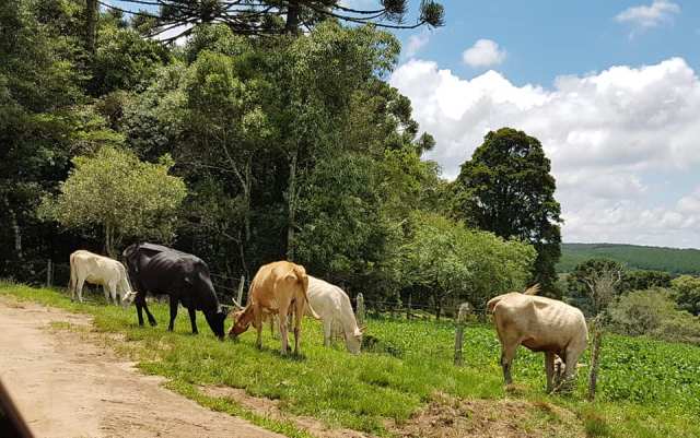 50931717_1970466973069142_7318491124102856704_n