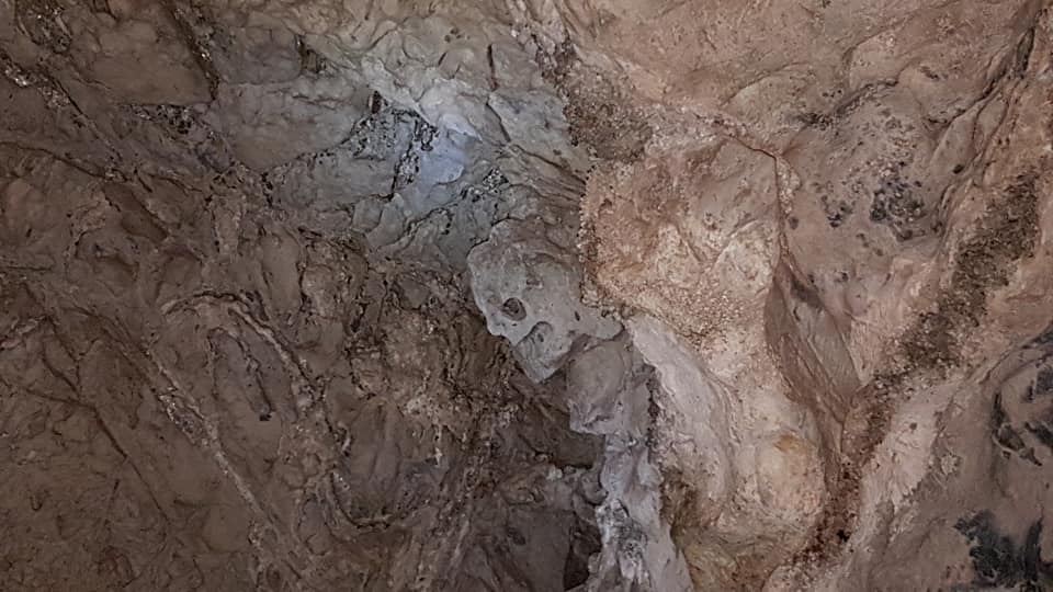 51090898_1976115499170956_492740118738632704_n