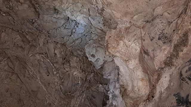 51090898_1976115499170956_492740118738632704_n