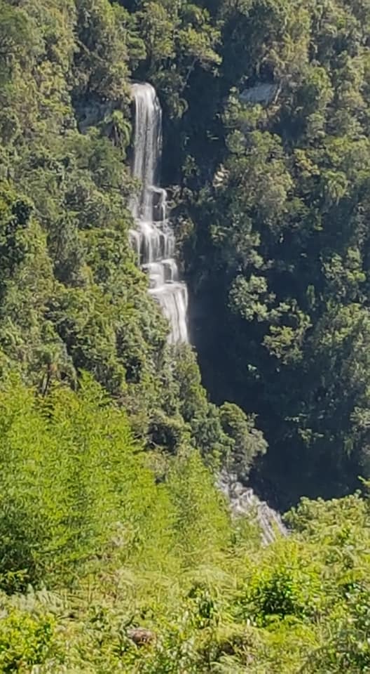 51172605_1972995649482941_1804254330132365312_n